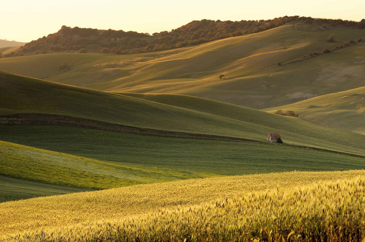 Agriturismo Palazzo Conti - B Pienza Zewnętrze zdjęcie