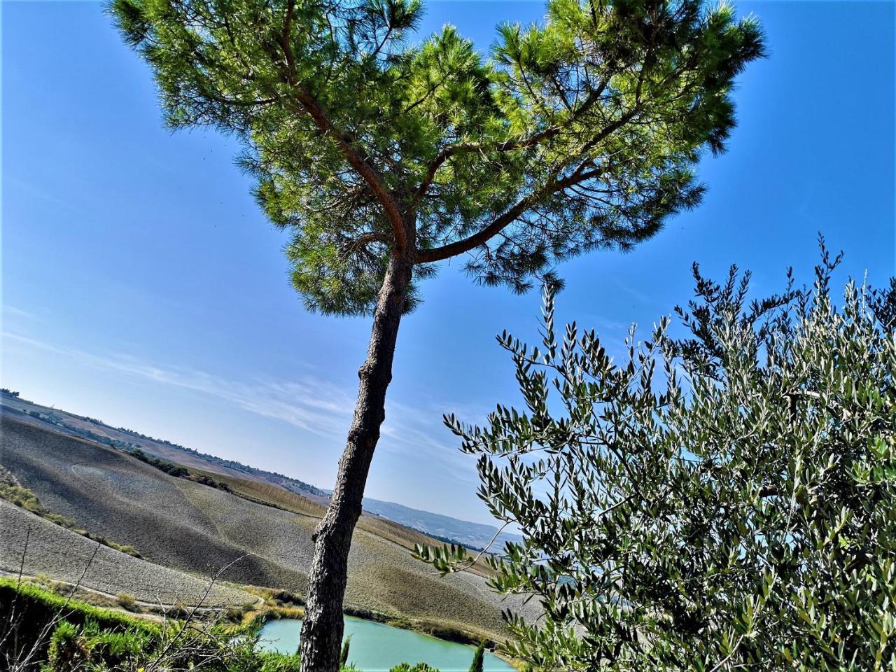 Agriturismo Palazzo Conti - B Pienza Zewnętrze zdjęcie
